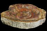 Colorful Polished Petrified Wood Dish - Madagascar #155301-1